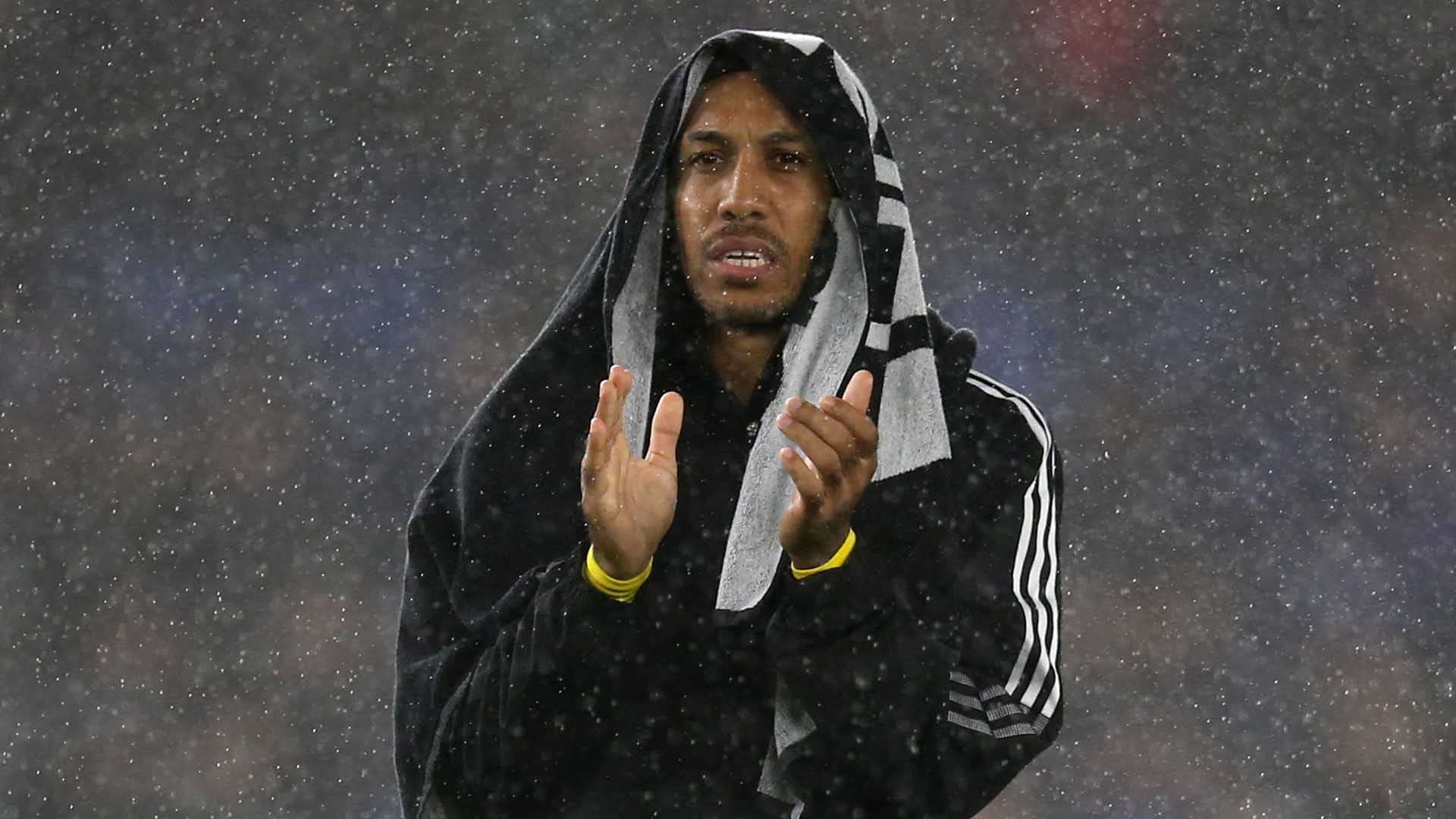 在巨星光环 在巨星光环