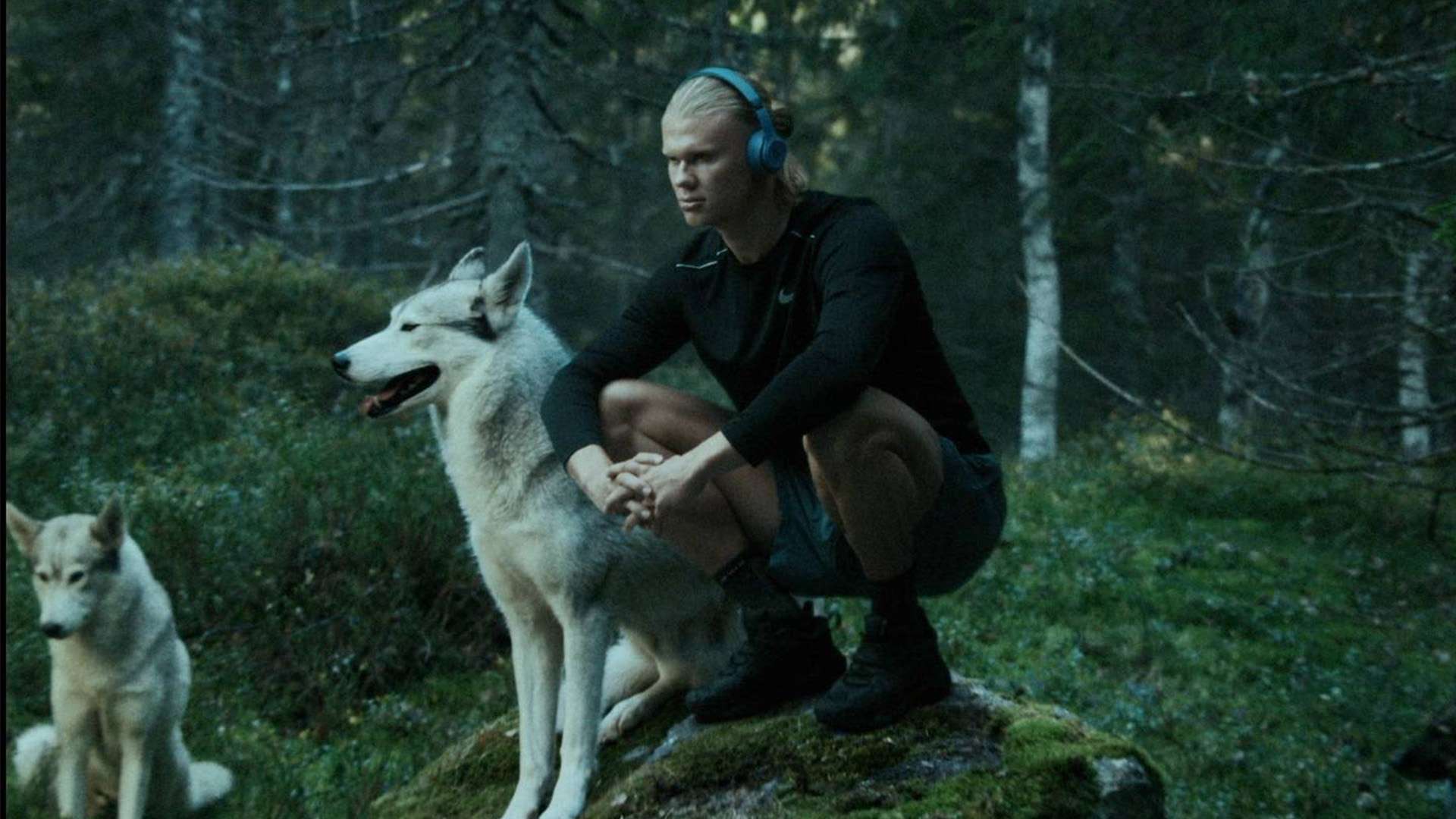 他的未来将 他的未来将