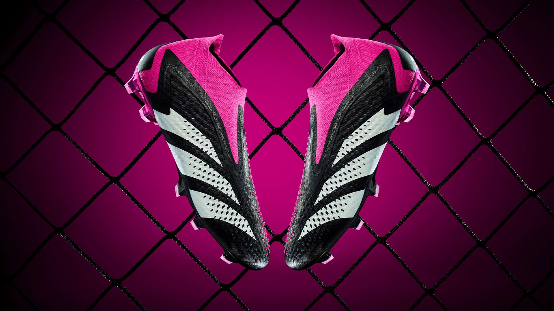 会根据他的 会根据他的