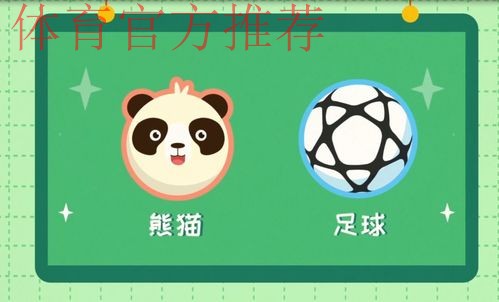 《熊猫说球》第三集:球和球场 《熊猫说球》第三集:球和球场